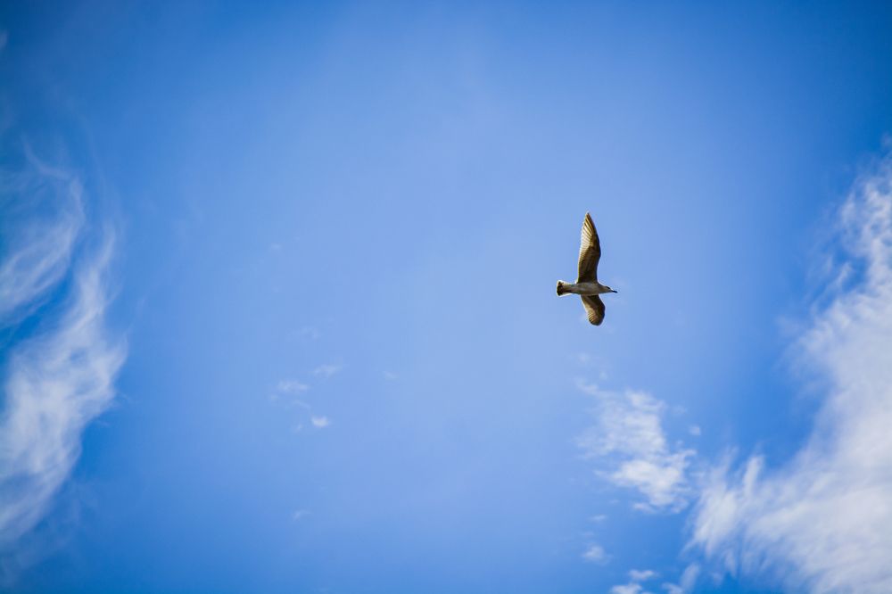 Photograph by Антон Глухов