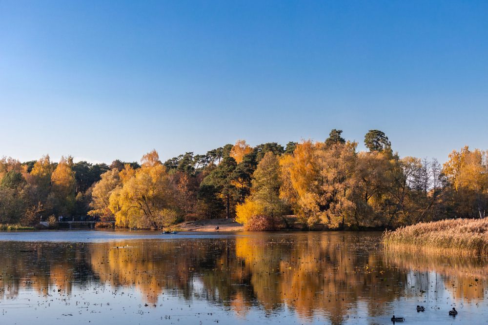 Photograph by Олег Дорошенко