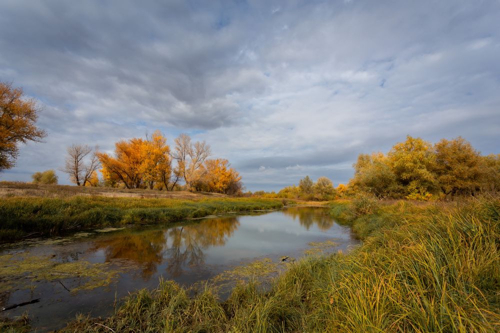 Photograph by Олег Дорошенко