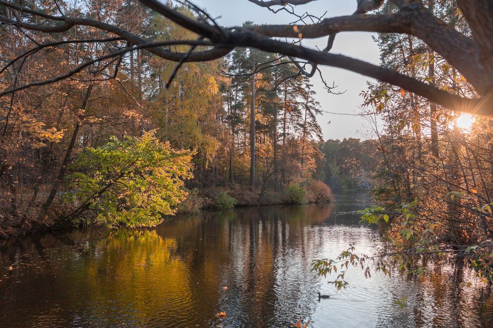 Photograph by Олег Дорошенко