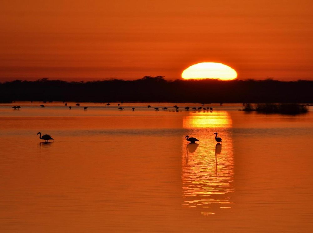 Photograph by MARCELO GIORGI