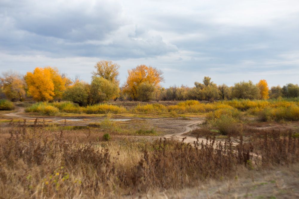 Photograph by Олег Дорошенко