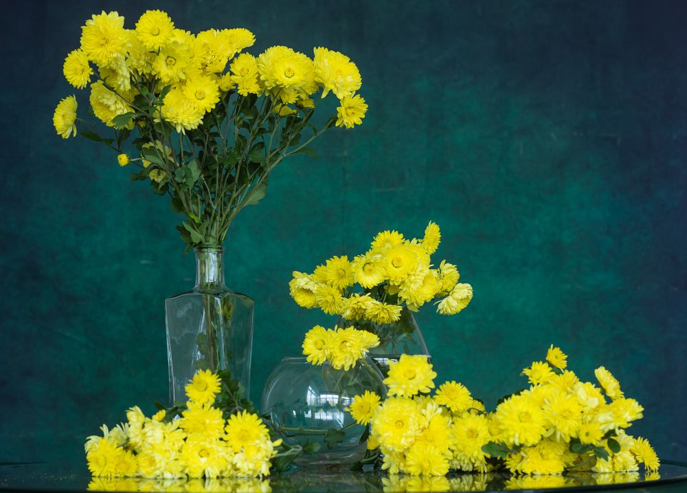 Photograph by Елена Куртеева