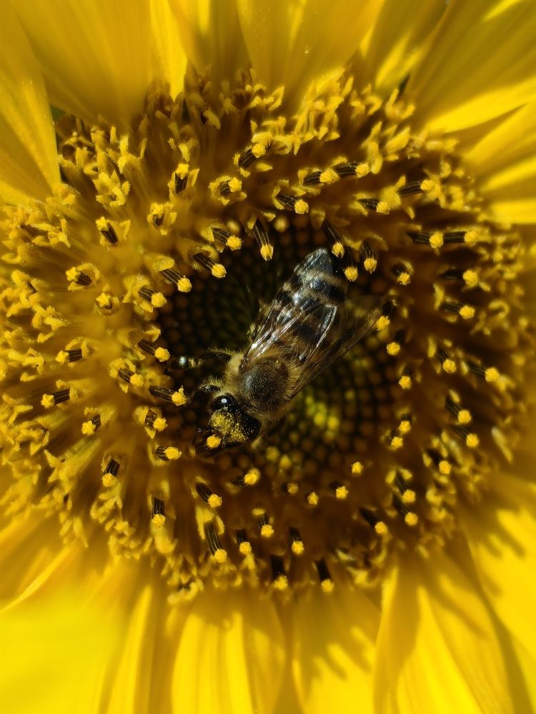 Photograph by Роман Межерицкий