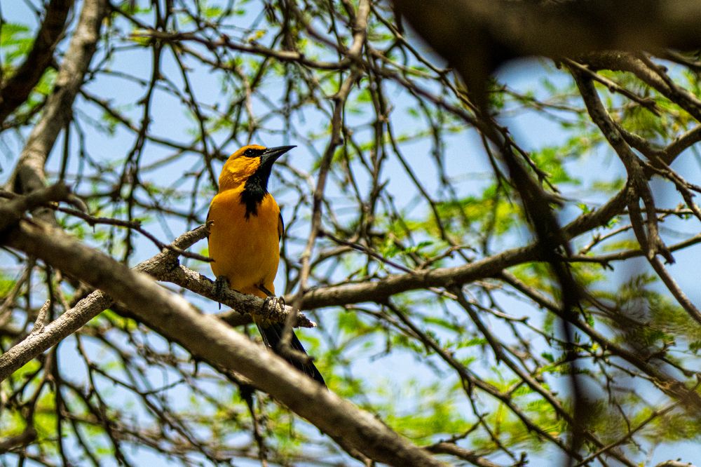 Фотография автора Julia A Caesar