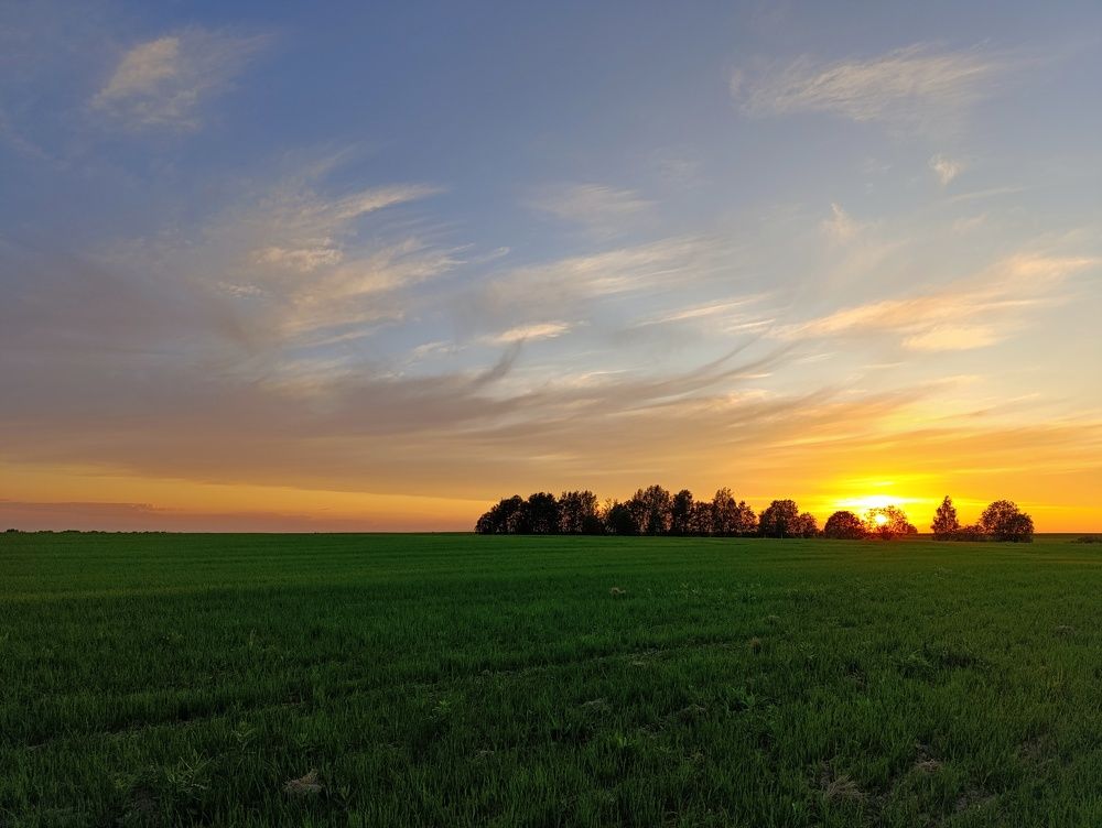 Фотография автора Андрей Шестаков