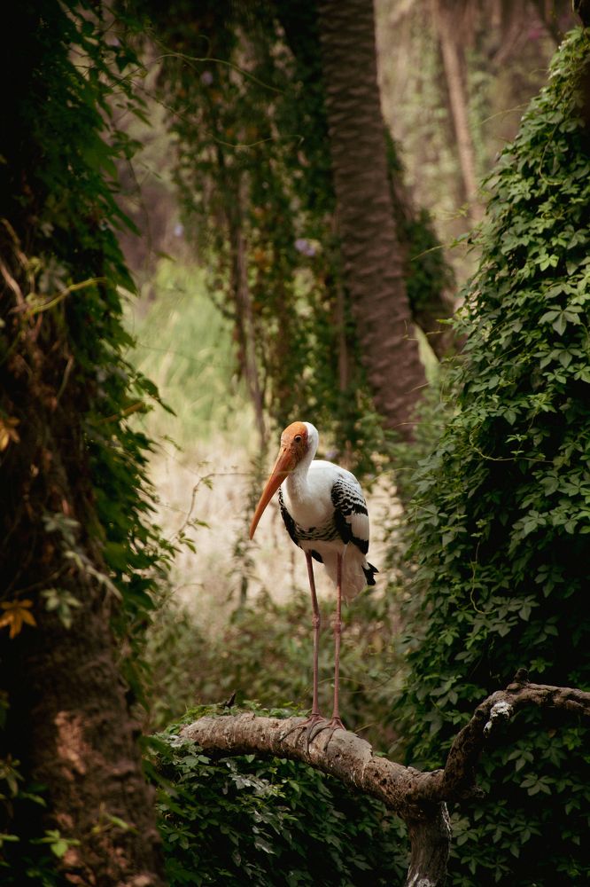 Фотография автора Anne Shchurok