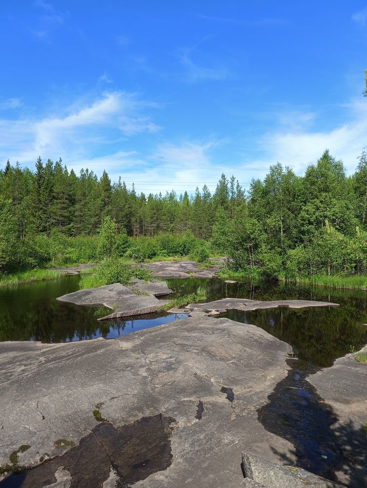 Фотография автора Елена Александрова