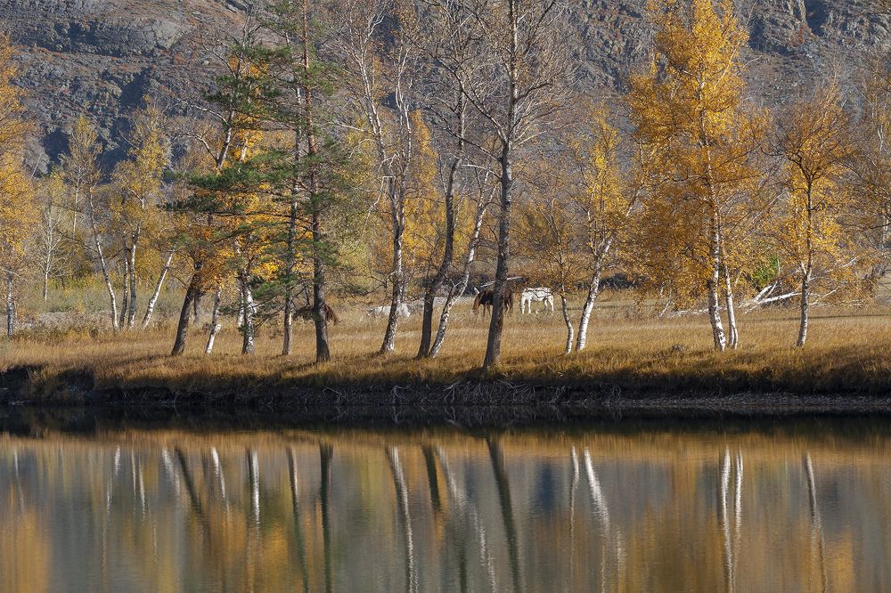 Photograph by Евгений Санин