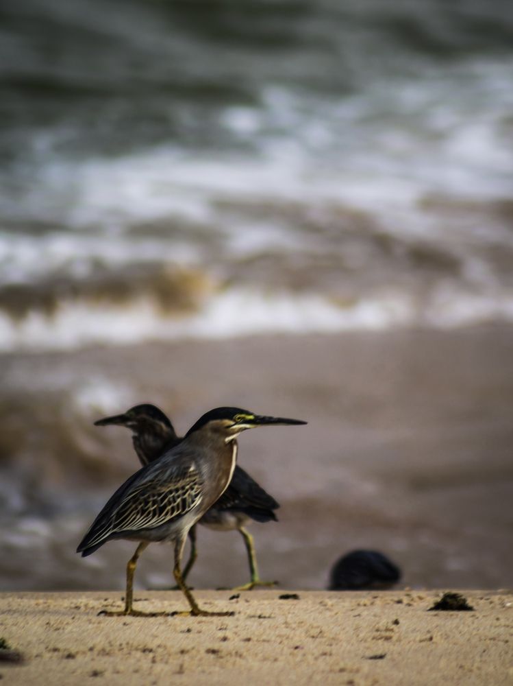 Photograph by Márcio Garcia