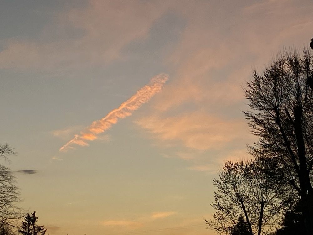 Photograph by Ольга Шабалина