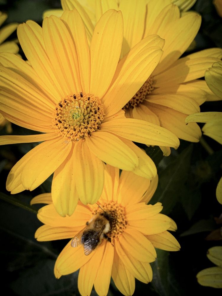 Photograph by Анна Потапова