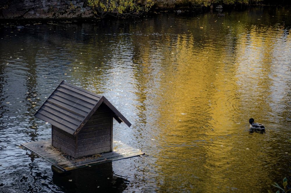 Photograph by Анна Потапова