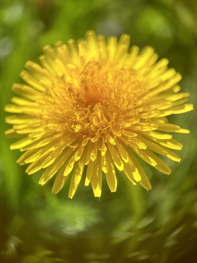 Photograph by Екатерина Козлова