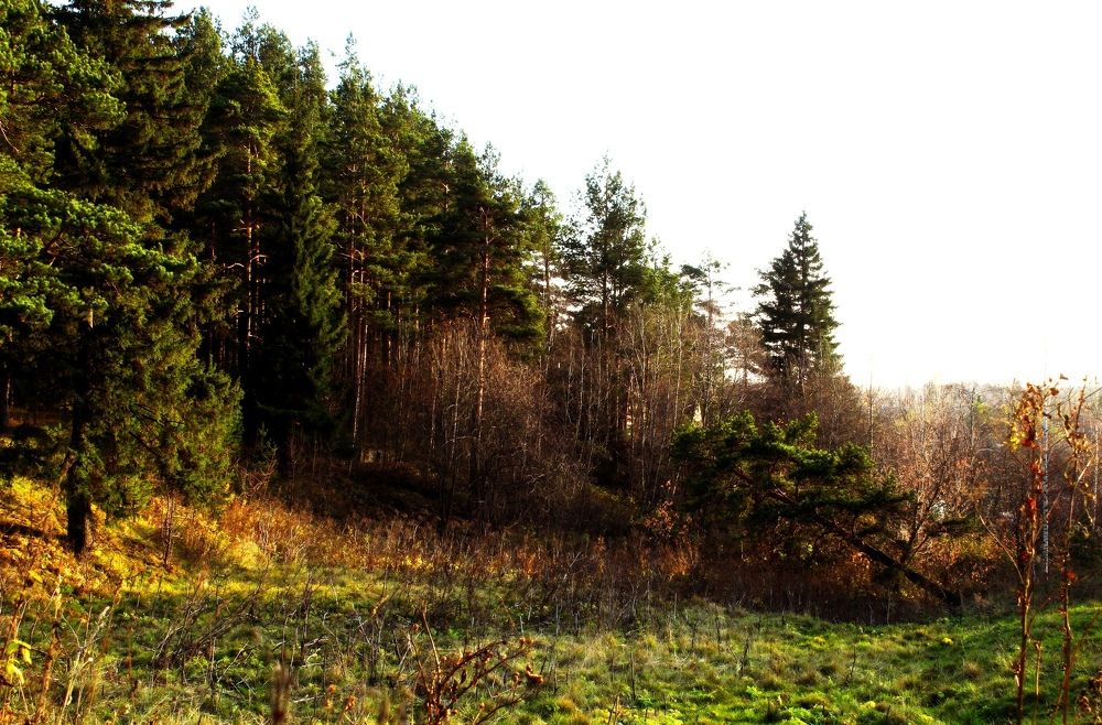 Photograph by Евгения Трубкина