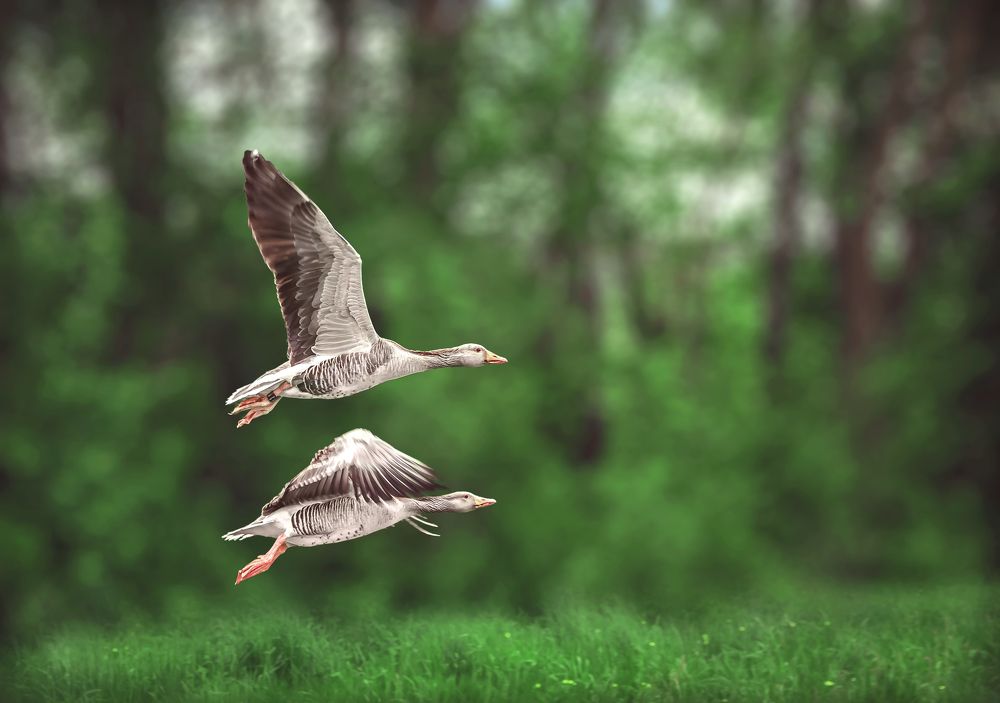 Photograph by Ольга Ильина