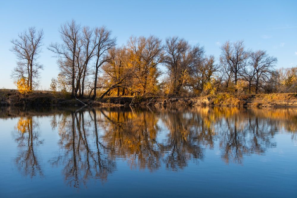 Photograph by Никита Борзов