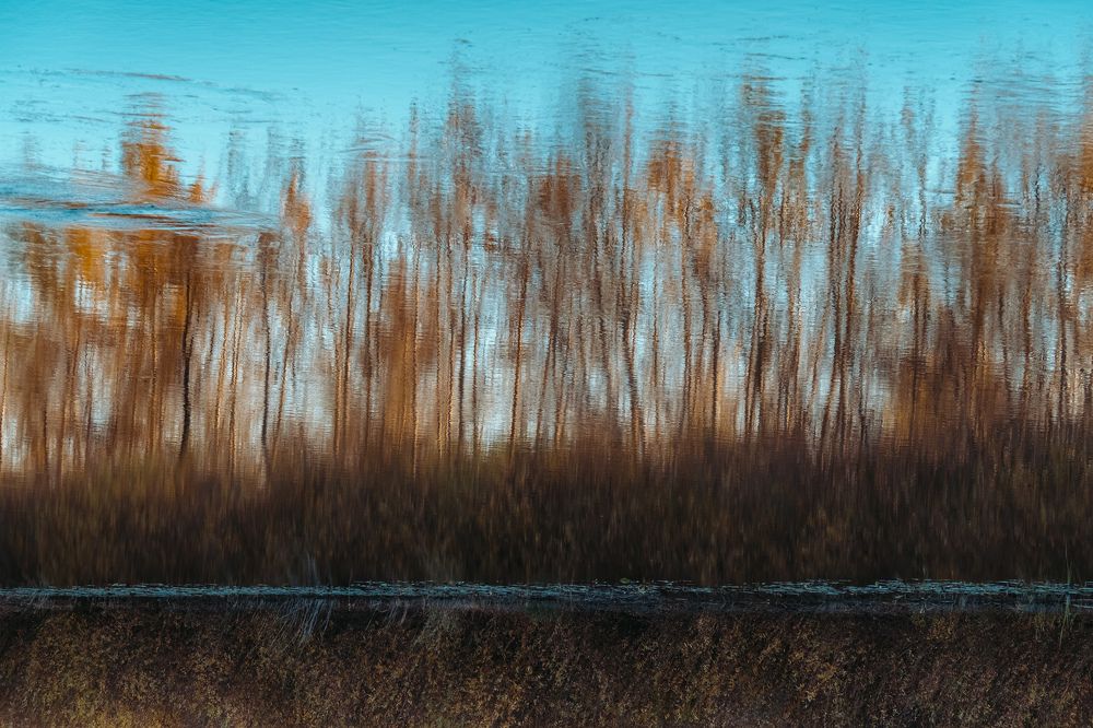 Photograph by Никита Борзов