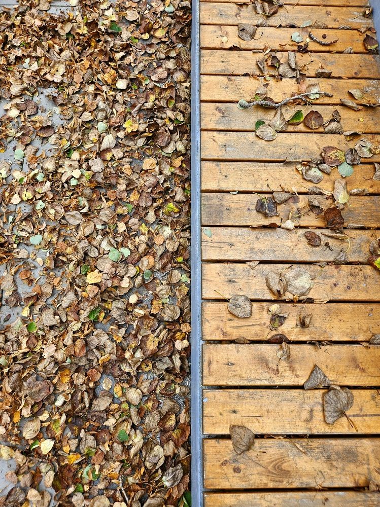 Photograph by Эльвира