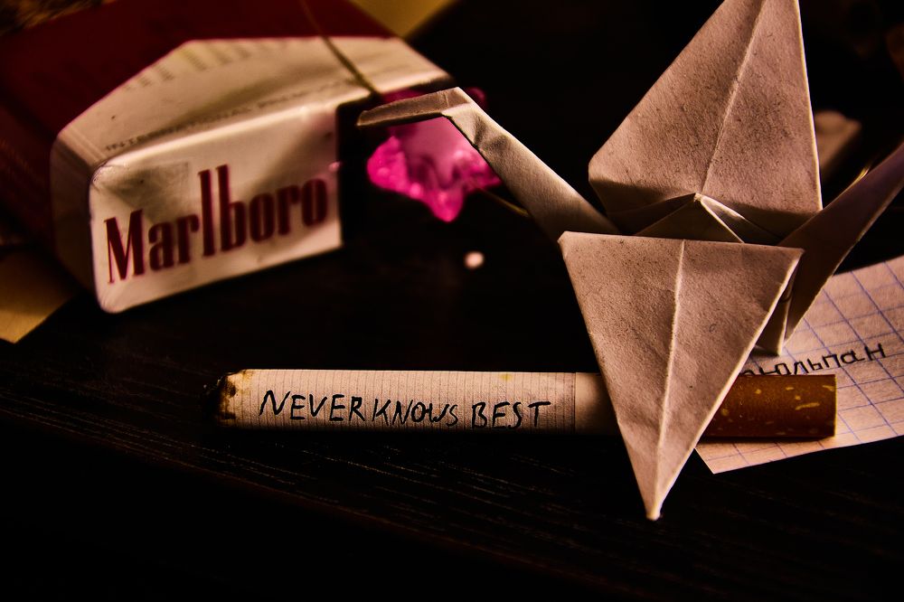 Photograph by Приходько Дмитрий