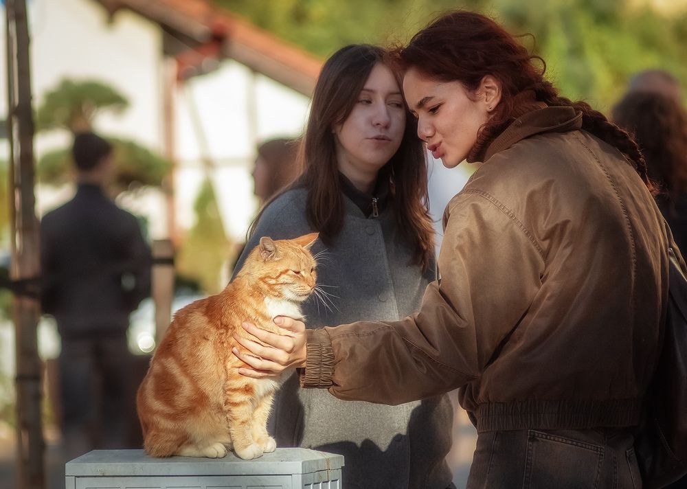 Photograph by Павел Дунюшкин