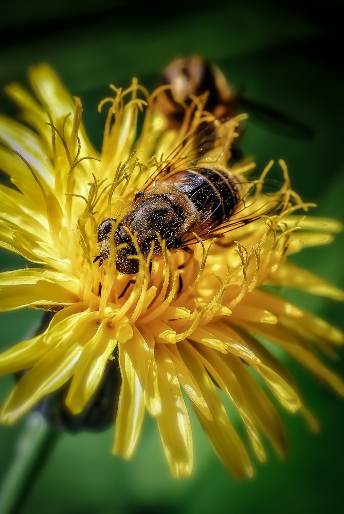 Photograph by Савчук Анатолий