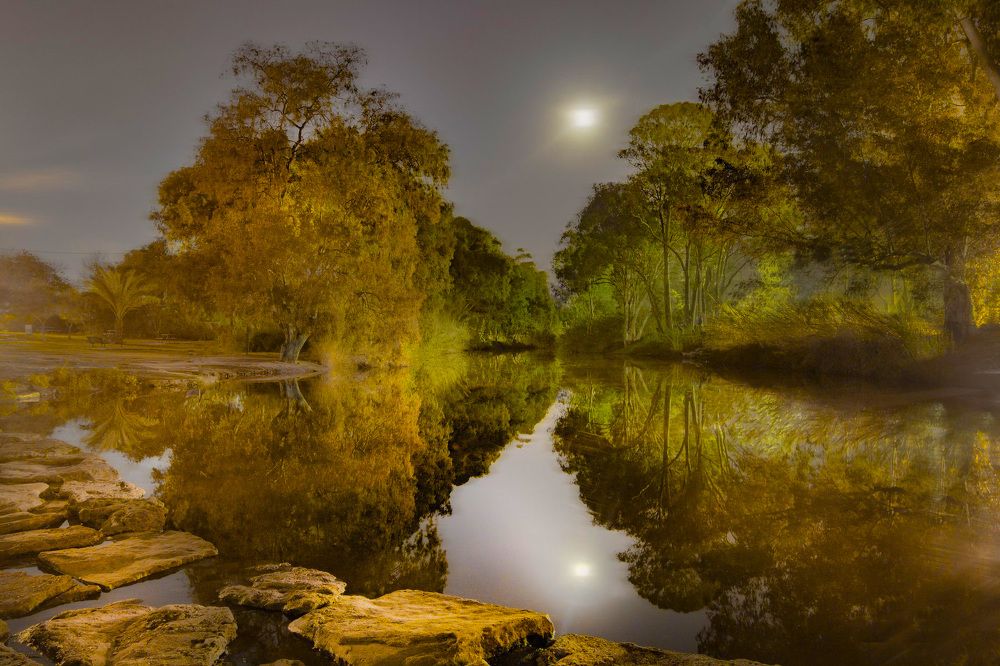 Photograph by Leonid Lan