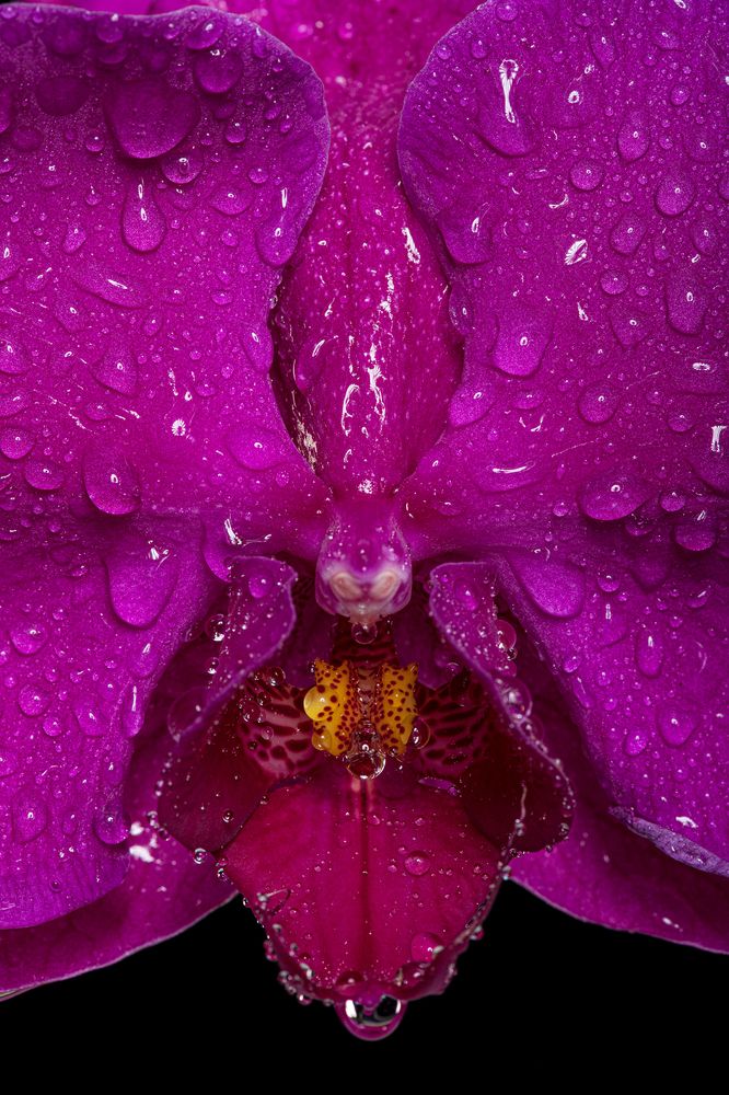 Photograph by Mohammadreza Pourian