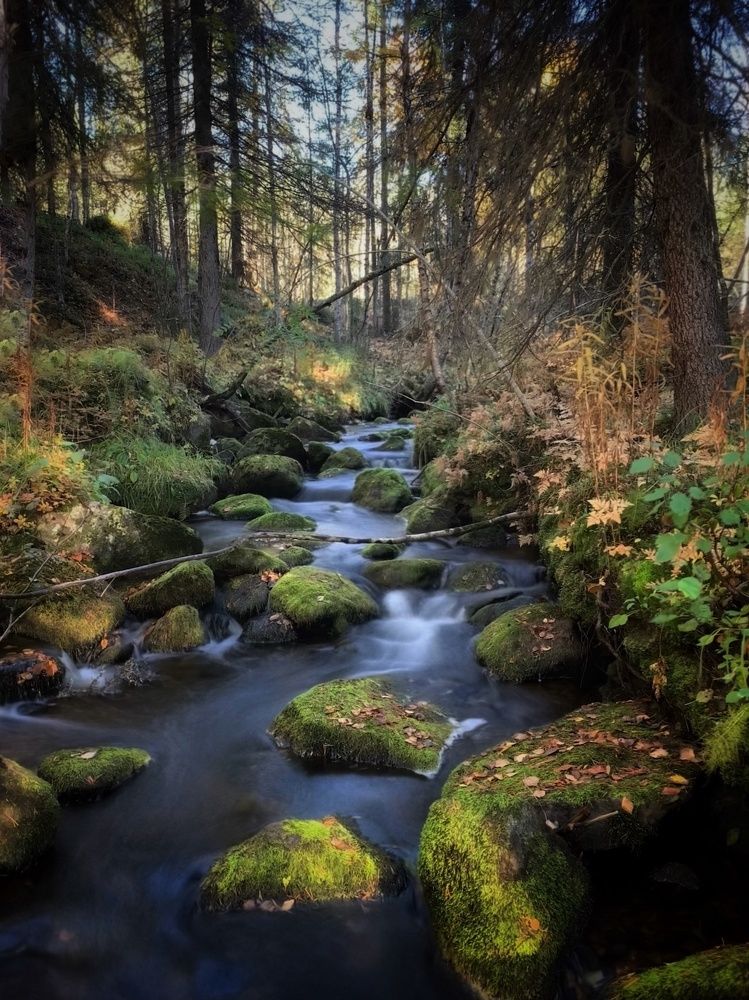 Photograph by Ирина Ахбаш