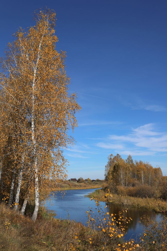 Photograph by Елена Петелина