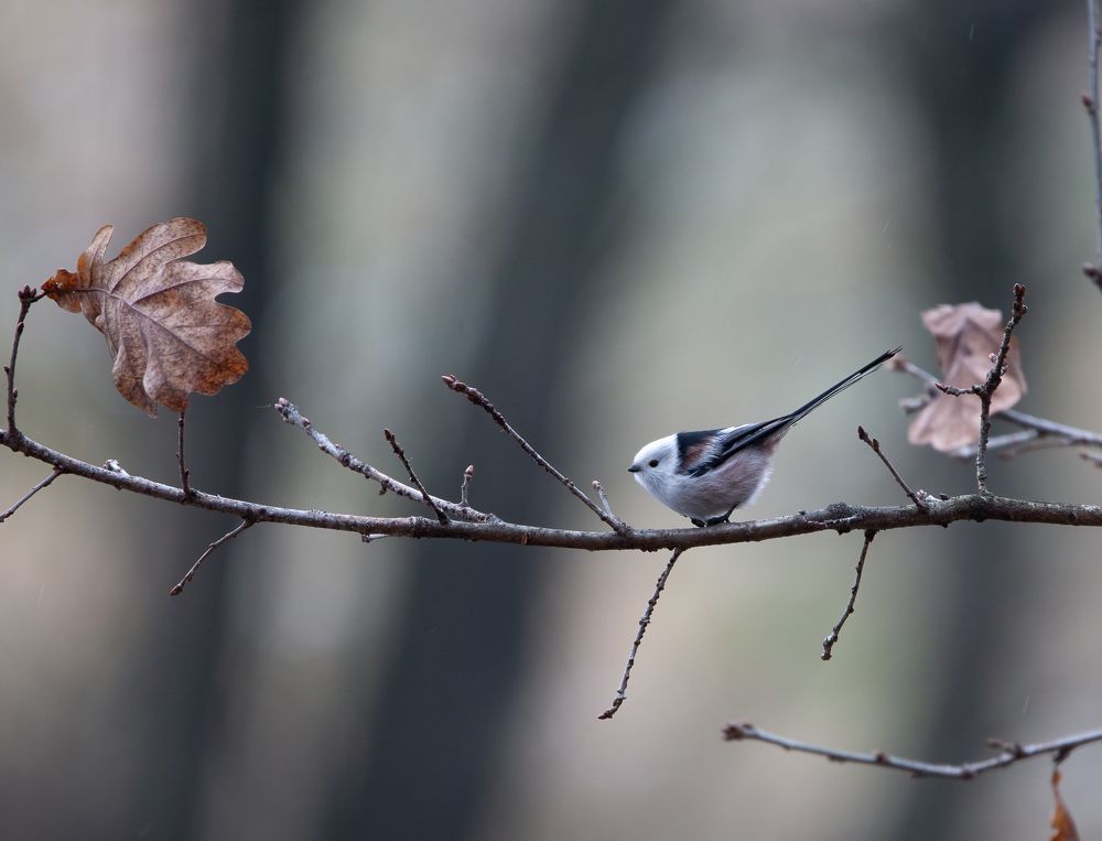 Photograph by Марина