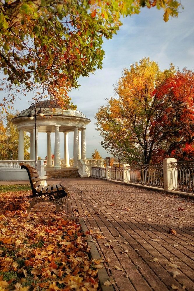 Фотография автора Тамара Караваева