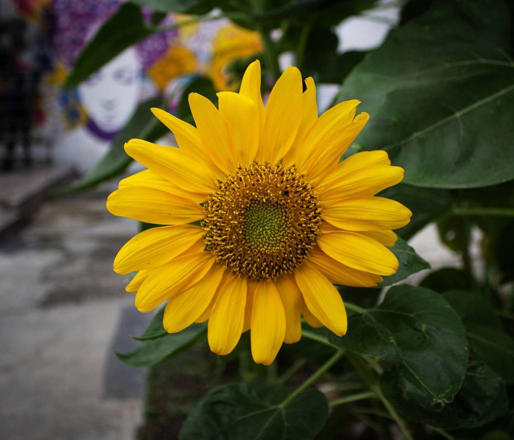 Photograph by Fundrising for my son with Cri d