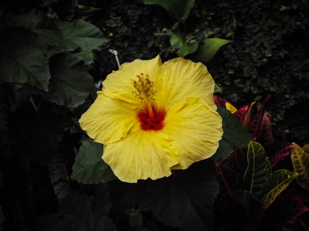 Photograph by Fundrising for my son with Cri d