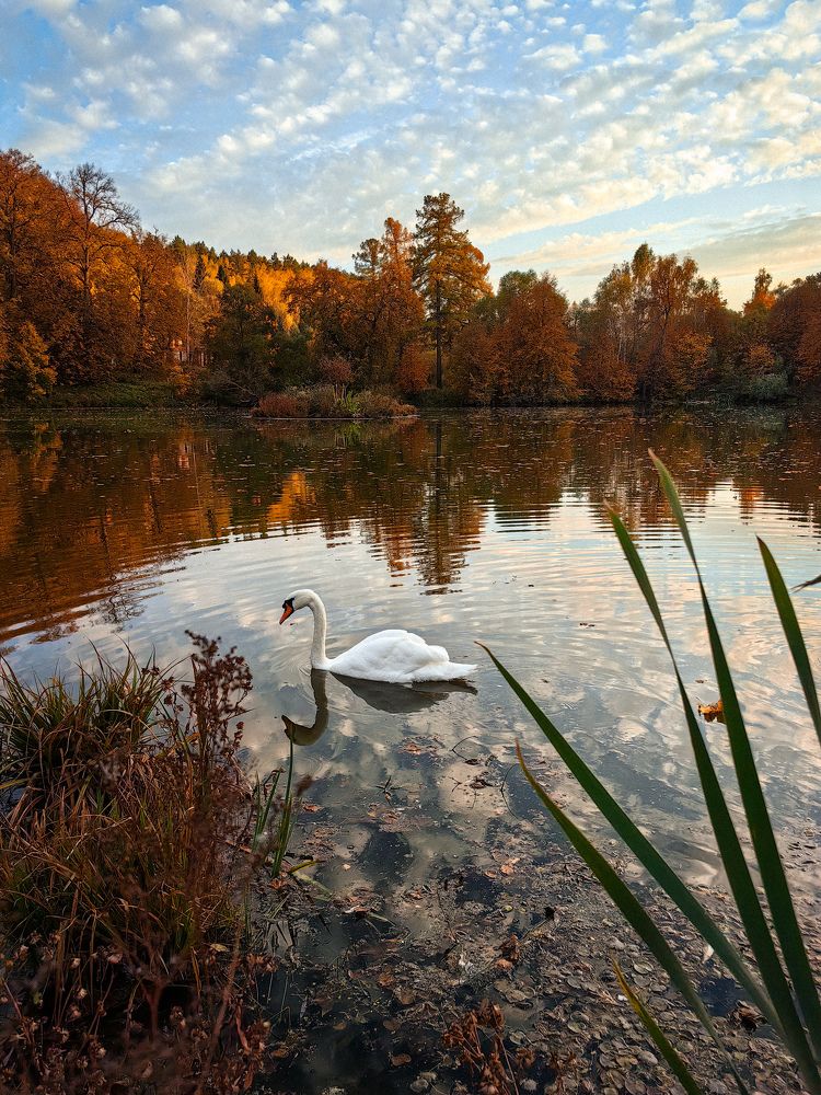 Photograph by Ольга Карева