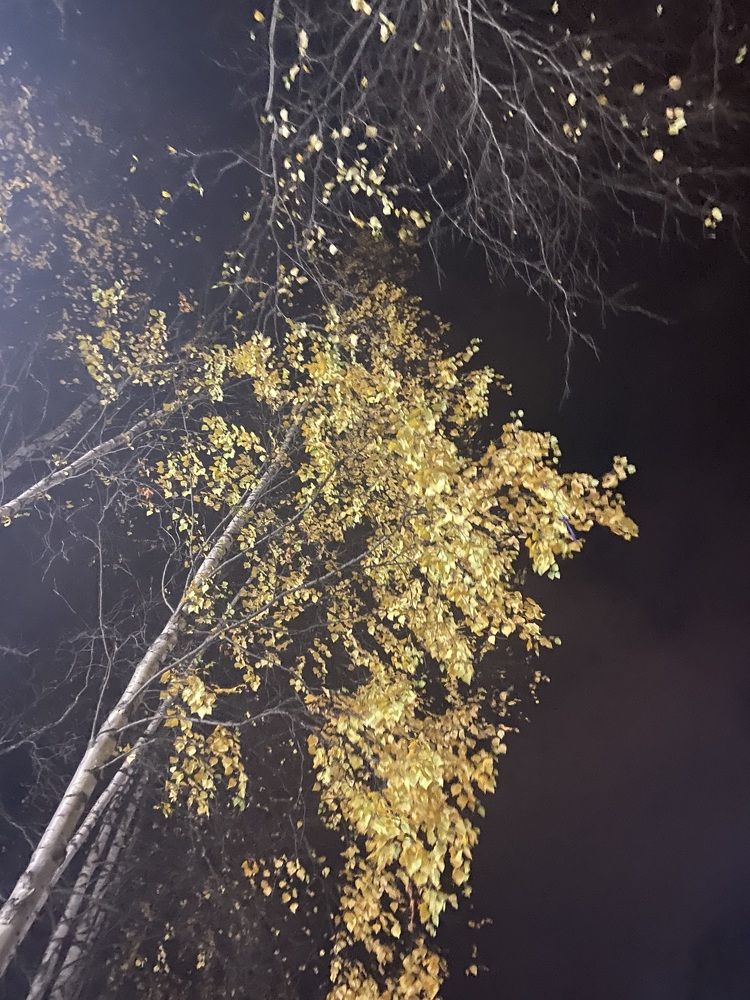 Photograph by Елена Мусина