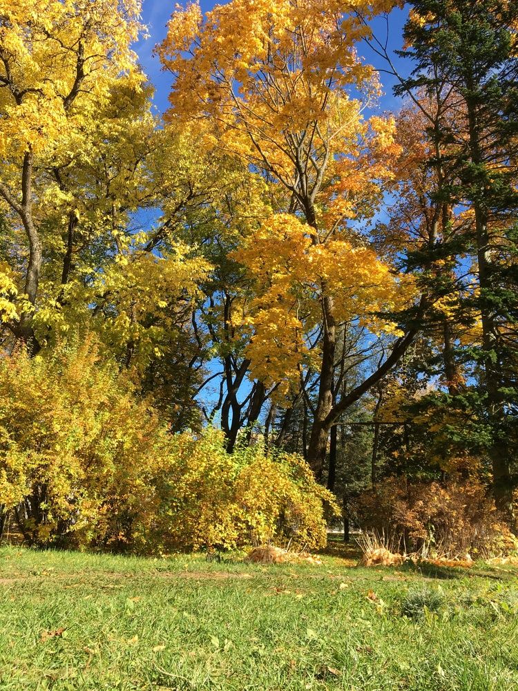 Фотография автора Александр Сипаров