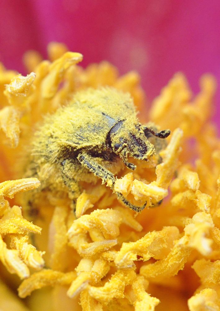 Photograph by Олеся zme