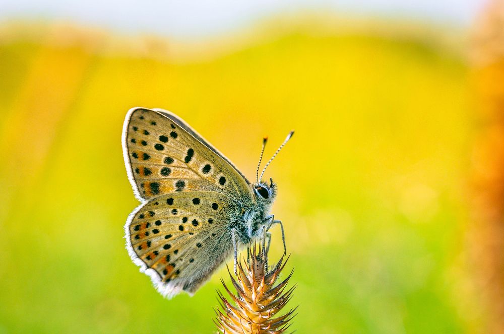 Photograph by Олеся zme