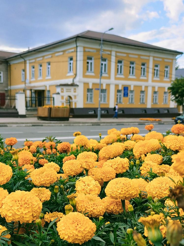Фотография автора Светлана Смирнова