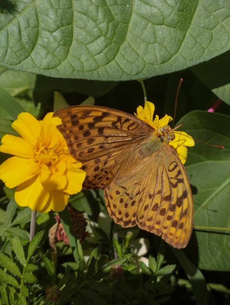 Photograph by Ольга Салтыкова