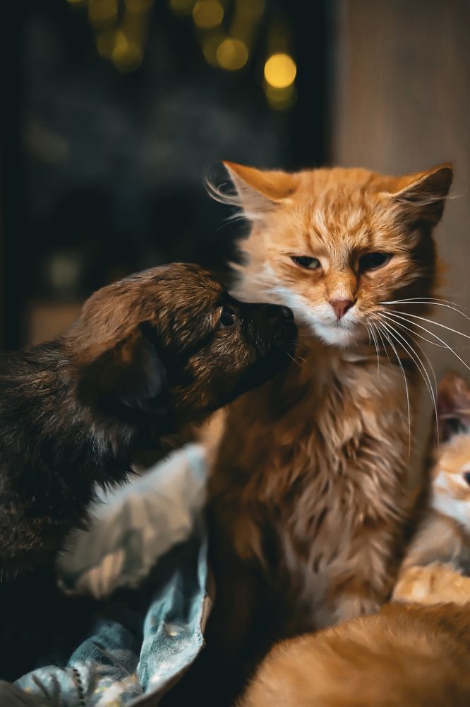 Photograph by Руслана Ковалевская