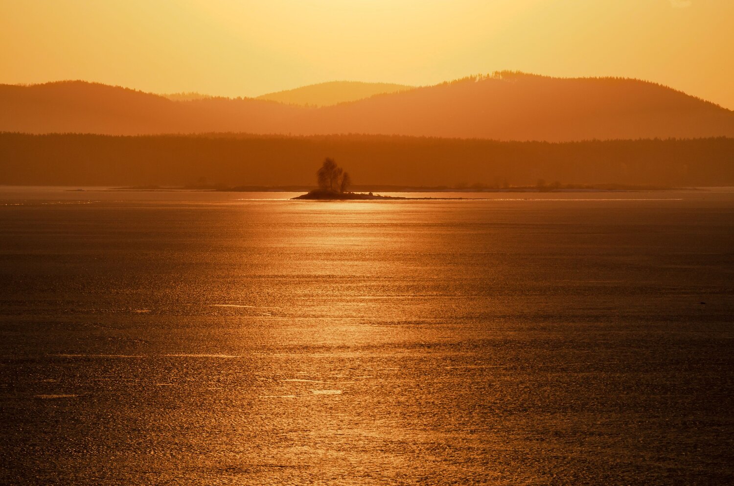 Photo #11137136