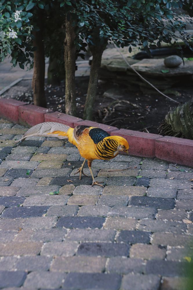 Фотография автора Юлия Гантимурова