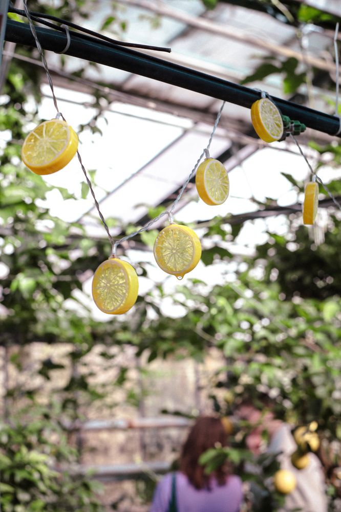 Фотография автора Юлия Гантимурова