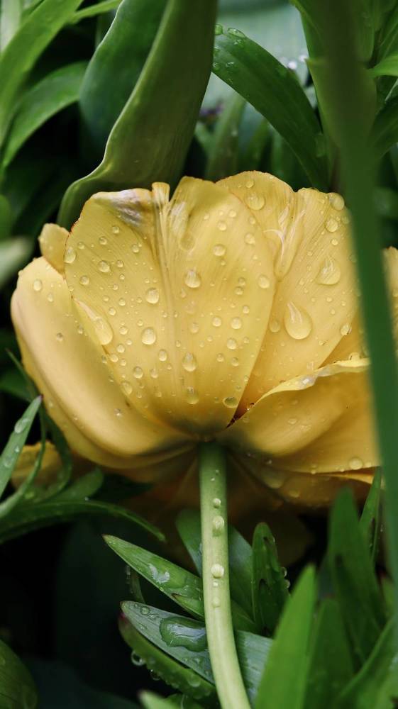 Photograph by Людмила Лукьяненко