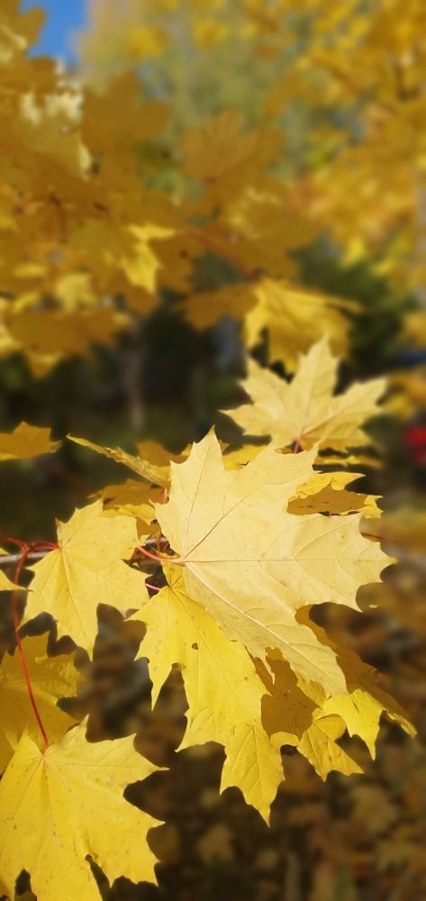 Photograph by Людмила Лукьяненко