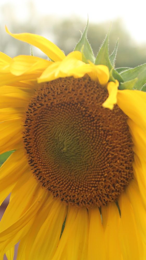 Photograph by Людмила Лукьяненко