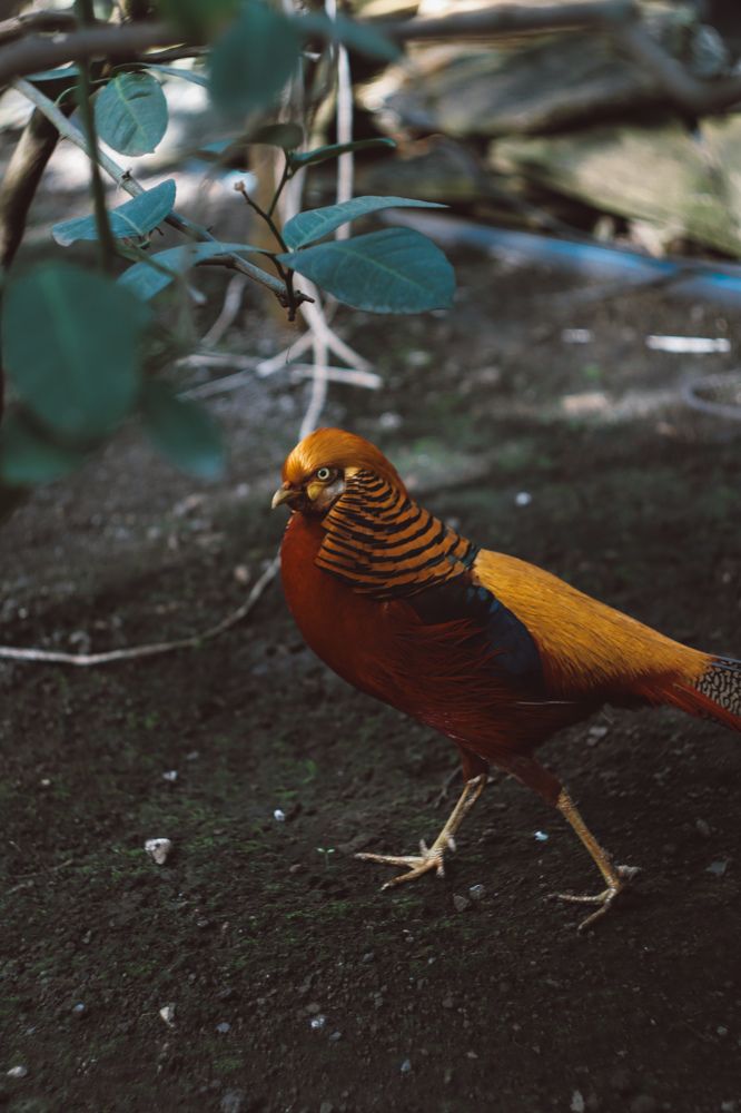 Фотография автора Юлия Гантимурова