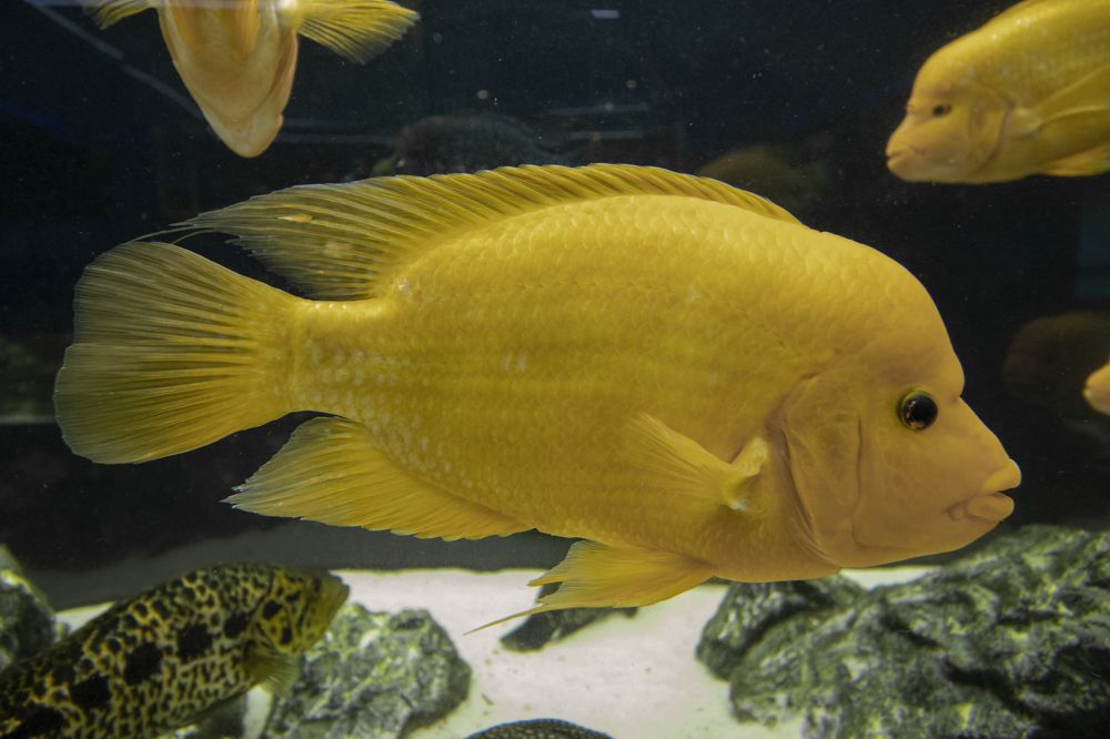 Photograph by Светлана Тарханова